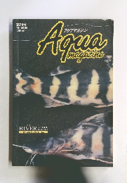 Aqua　magazine　1994年冬の号