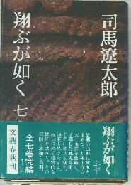 翔ぶが如く 七
