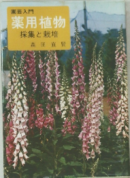 園芸入門  薬用植物  採集と栽培