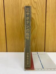 花サボテンの栽培
