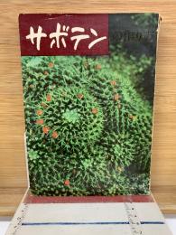 サボテンの作り方