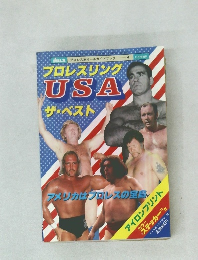 アイロンプリント　USA　ザ。ベスト