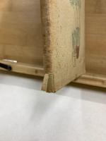 仙人掌栽培の秘訣