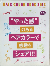 ヘアカラーブック2013
