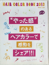 ヘアカラーブック2013
