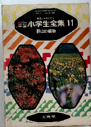 カラー学習　小学生全集 11　野山の植物