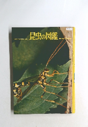 　昆虫の図鑑