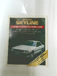 AISSAN  SKYLINE 