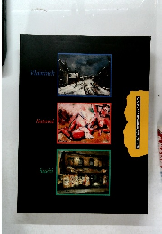 ヴラマンク・里見勝蔵・佐伯祐三展