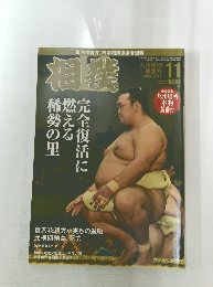 相撲　2018年11月