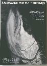 フライの雑誌　No.23　EARLY SUMMER　