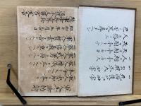 日蓮聖人遺文全集講義