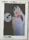 A MAGAZINE FOR FLY FISHERMEN　1995年　31号