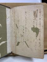 新釈 万葉佳調