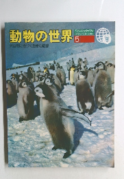 動物の世界　5　大自然に息づく生命の記録