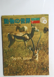 動物の世界  大自然に息づく生命の記録　7