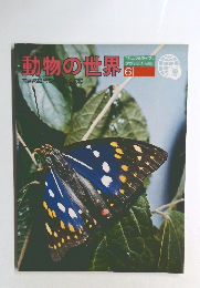 動物の世界　6