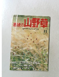 趣味の山野草　１９９０年11月号　No.１２４