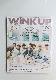 WiNK UP 2015年2月号