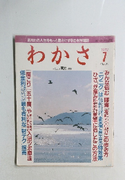 わかさ　1992年7号