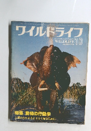 ワイルドライフ 1979.10