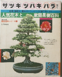 サツキツバキバラなど　