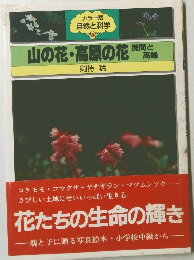 山の花 ・高原の花 