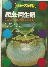 爬虫・両生類  はちゅうりょうせいろい
