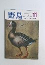 野鳥 No.422  1981年11月号