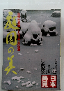 日本発見 　1980年2月号