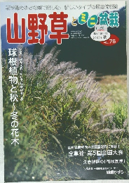 山野草とミニ盆栽　Vol.76