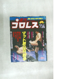 プロレス　　6月14日号　No.261