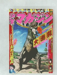 週刊 少年マガジン 1976年7月25日号