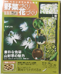 野菜づくり花づくり　２０１０年11月号