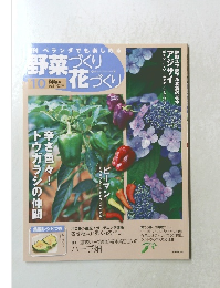 野菜づくり花づくり　２０１０年10月号