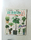 観葉植物 Q&A