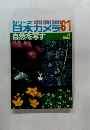 シリーズ日本カメラ 61  自然を写す