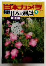 日本カメラ　10月号増刊