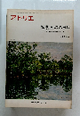 アトリエ　NO. 558