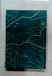 嚴選王國維校注　水經注