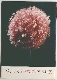 写真と文花の幻想