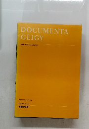 DOCUMENTA Geige