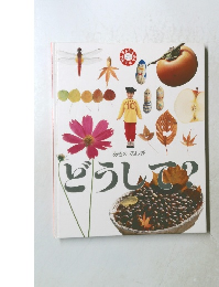 あきのふしぎ  どうして? 1993 