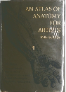 AN ATLAS OF ANATOMY  FOR  ARTISTS　