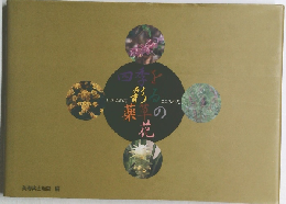 四季を彩る薬草の花