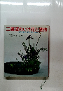 二葉流のいけ花と盛物　格花・花瓶花・景花・盛物
