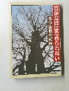 真赤な空は忘れられない　戦争体験の記録