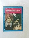 科学のアルバム別巻  夏休み昆虫のかんさつ