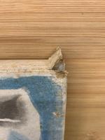 随筆　魚と暮して