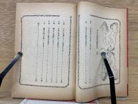 ロシヤ皇女の秘密日記　東京書院